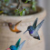 Svarthakad kolibri